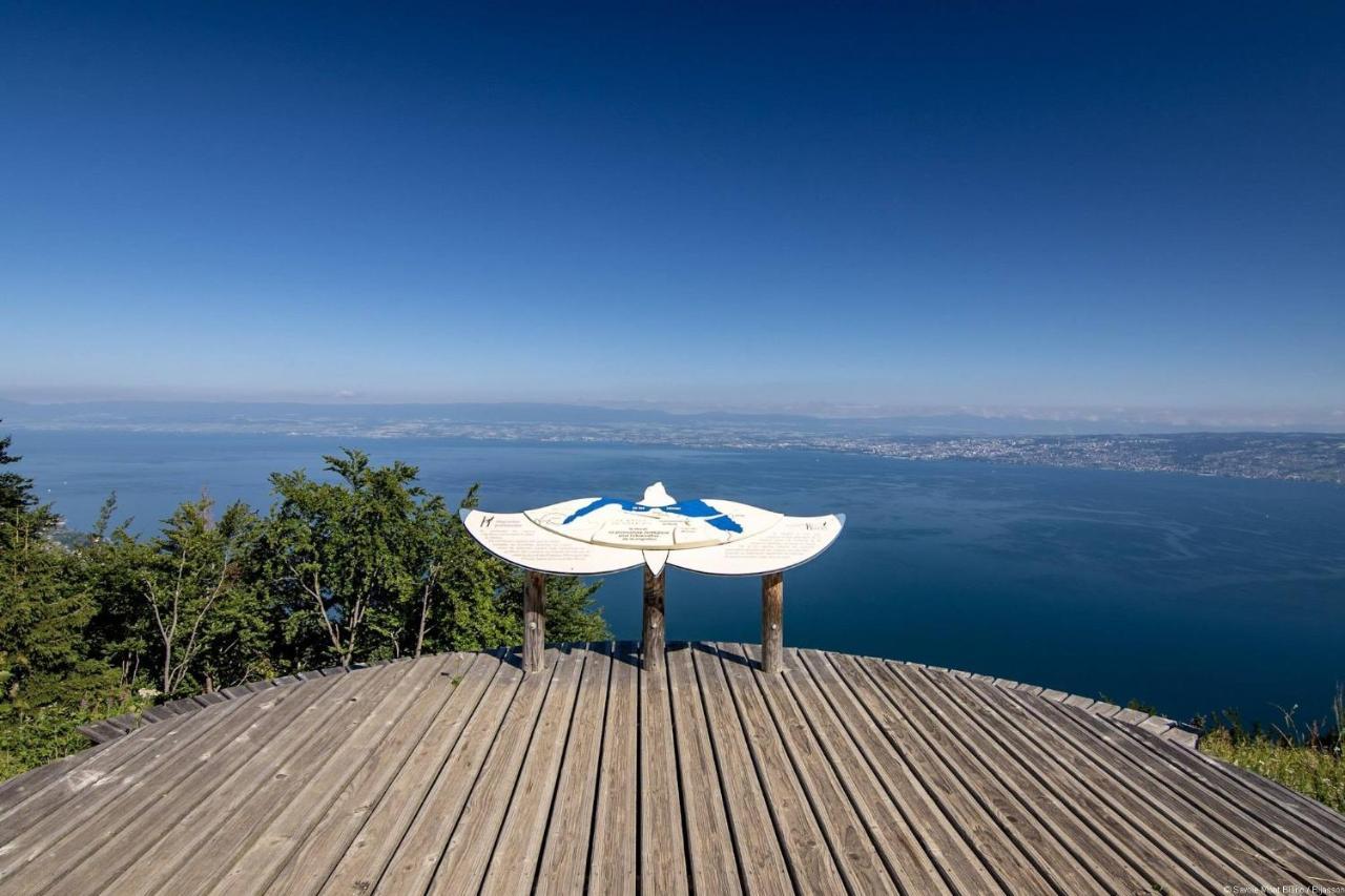 Votre Studio Balneo Bien-Etre A La Montagne Thollon-les-Memises Exterior photo