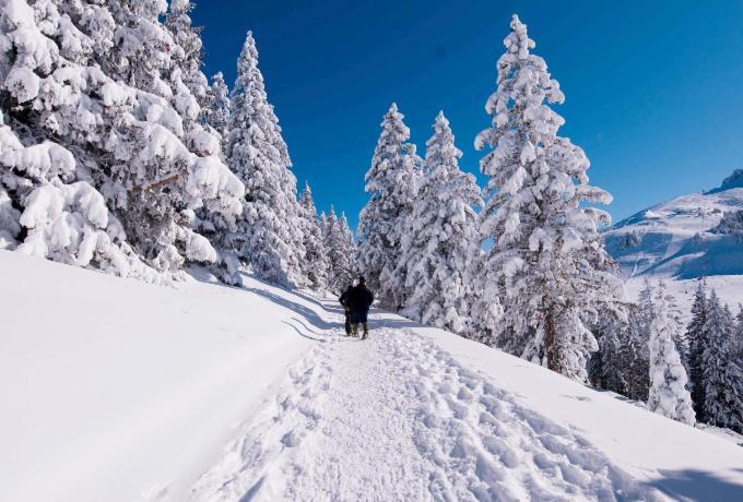 Votre Studio Balneo Bien-Etre A La Montagne Thollon-les-Memises Exterior photo
